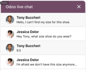 Odoo ERP Live-Chat Funktion